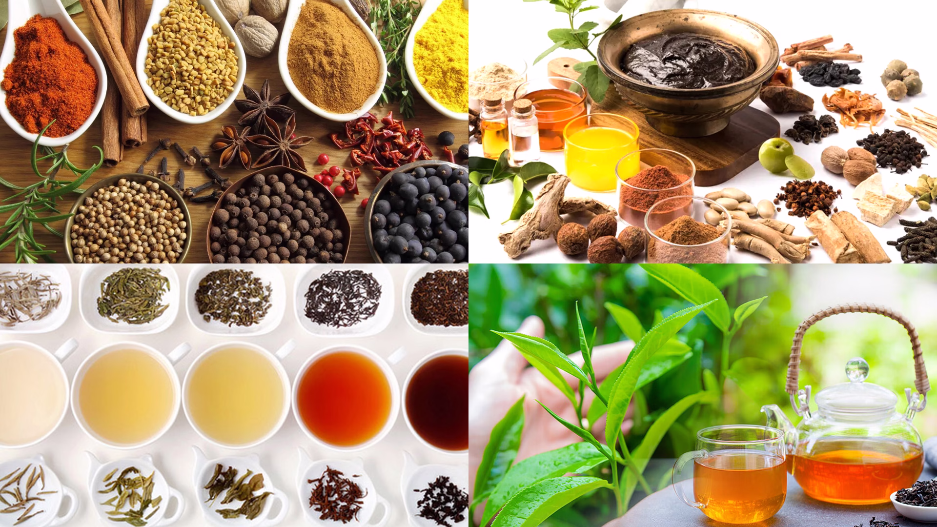 Ceylon- Auruvedic products in Japan