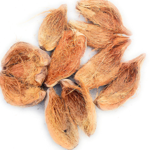 Coconut Husk